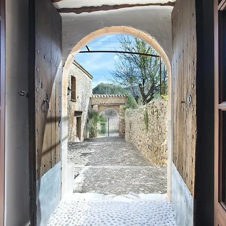 Owl Lloberina - In The Midst Of Nature