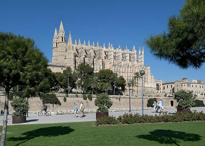 Owl Lloberina - In The Midst Of Nature * Pollença