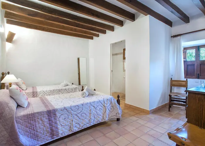 Owl Lloberina - In The Midst Of Nature *