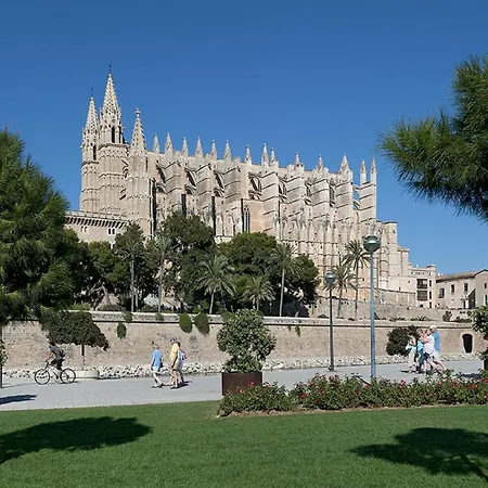 Owl Lloberina - In The Midst Of Nature * Pollença