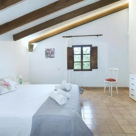 Owl Lloberina - In The Midst Of Nature Pollença