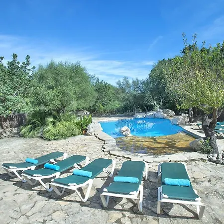 Owl Lloberina - In The Midst Of Nature