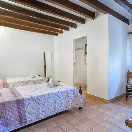 Owl Lloberina - In The Midst Of Nature *