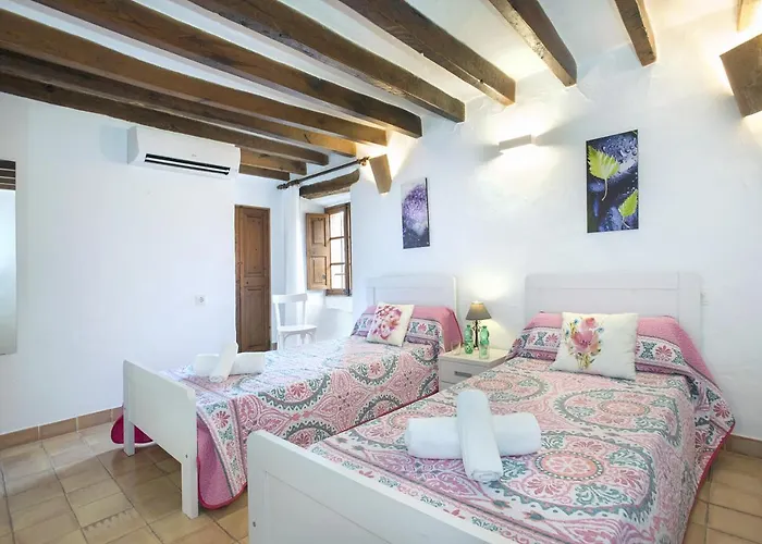 Owl Lloberina - In The Midst Of Nature Pollença