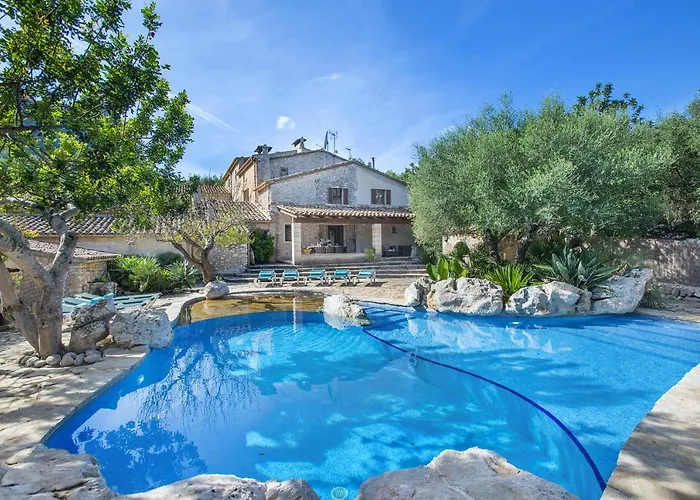 Owl Lloberina - In The Midst Of Nature 포엔샤