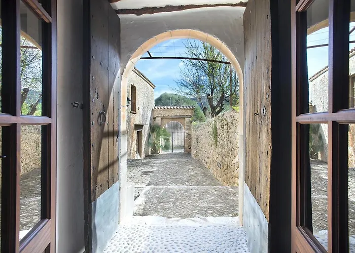 Owl Lloberina - In The Midst Of Nature