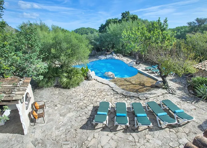 Owl Lloberina - In The Midst Of Nature