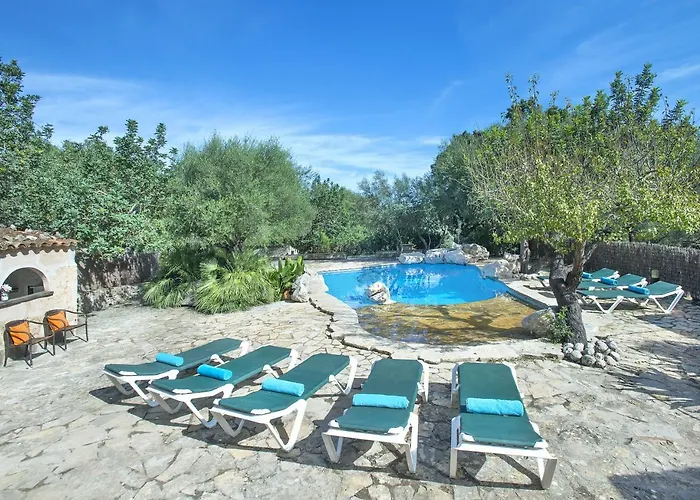 Owl Lloberina - In The Midst Of Nature