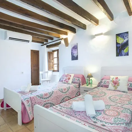 Owl Lloberina - In The Midst Of Nature Pollenca