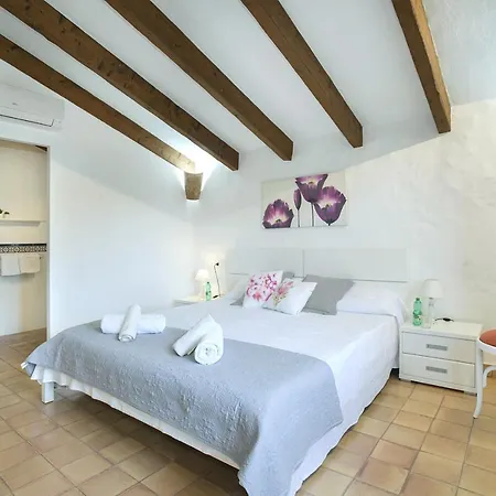 Owl Lloberina - In The Midst Of Nature