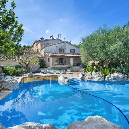 Owl Lloberina - In The Midst Of Nature Pollenca