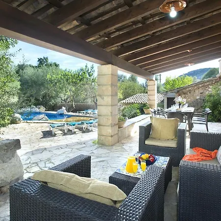 Owl Lloberina - In The Midst Of Nature Pollenca