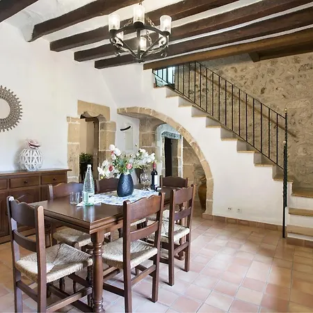 Owl Lloberina - In The Midst Of Nature * Pollenca