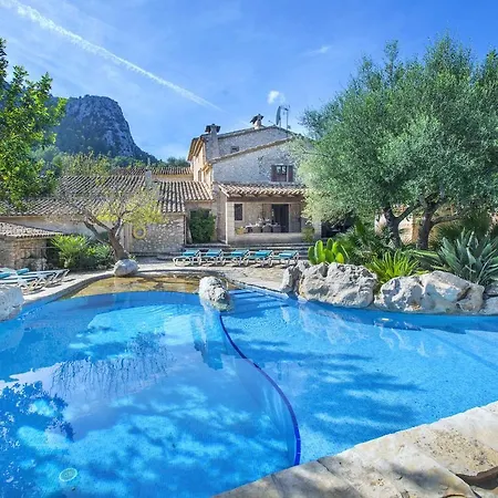 Owl Lloberina - In The Midst Of Nature Pollenca