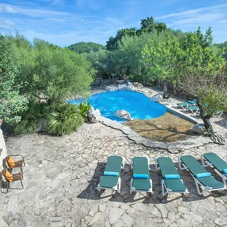 Owl Lloberina - In The Midst Of Nature