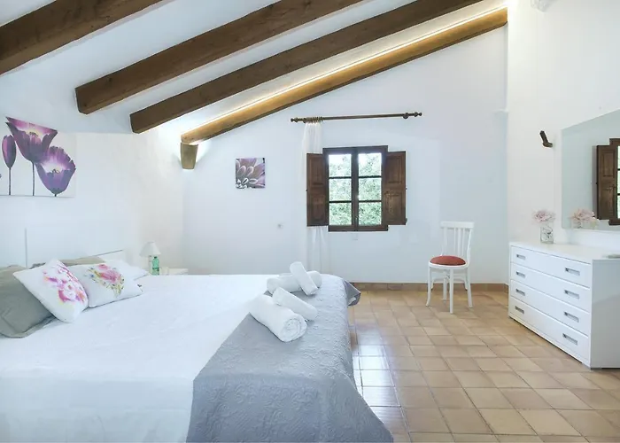 Owl Lloberina - In The Midst Of Nature Pollenca